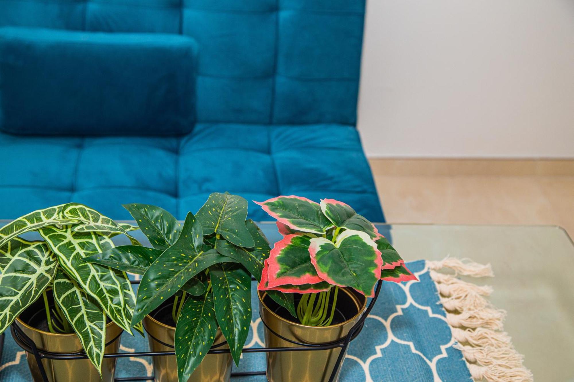Apartamentos Centro Sandoval コルドバ エクステリア 写真
